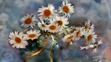 Картинка цветы ромашки ваза