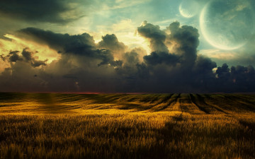 Картинка природа поля поле облака пшеница