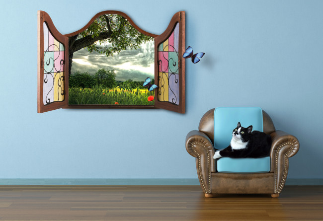 Обои картинки фото животные, коты, пейзаж, бабочка, окно, кресло