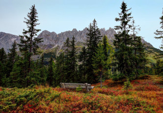 Картинка austrian alps природа пейзажи горы лес
