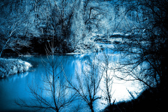 Картинка пейзаж природа реки озера ночь речка водоём лес кусты деревья