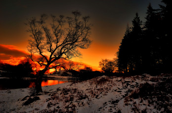 Картинка природа восходы закаты река лес снег трава сумерки солнце
