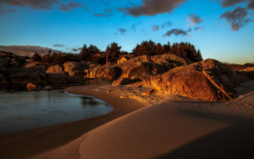Картинка природа побережье излучина деревья камни песок пляж река