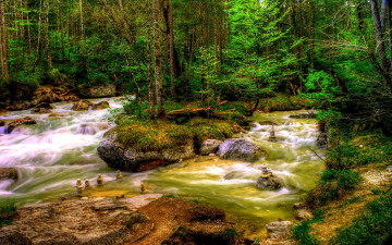 Картинка природа реки озера река лес стремнина