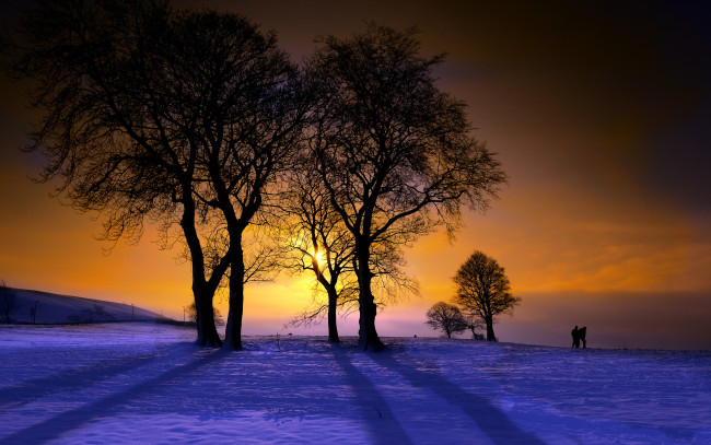 Обои картинки фото природа, восходы, закаты, сияние, зима, закат, поле, деревья, фигуры