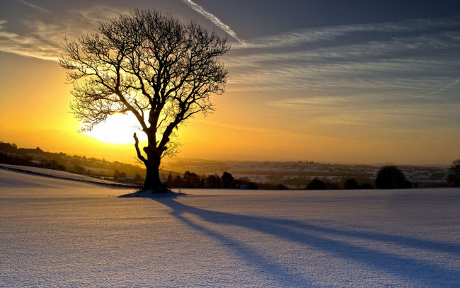 Обои картинки фото природа, восходы, закаты, солнце, свет, дерево, поле, снег