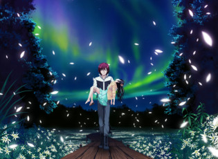 Картинка аниме *unknown+ другое звезды небо природа ночь парень девушка цветы трава северное сияние деревья лепестки