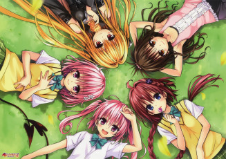 Картинка аниме to-love-ru трава девушки подруги хвостик