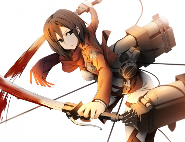 Обои картинки фото аниме, shingeki no kyojin, жест, взгляд, полет, mikasa, ackerman, девушка, трос, кровь, оружие