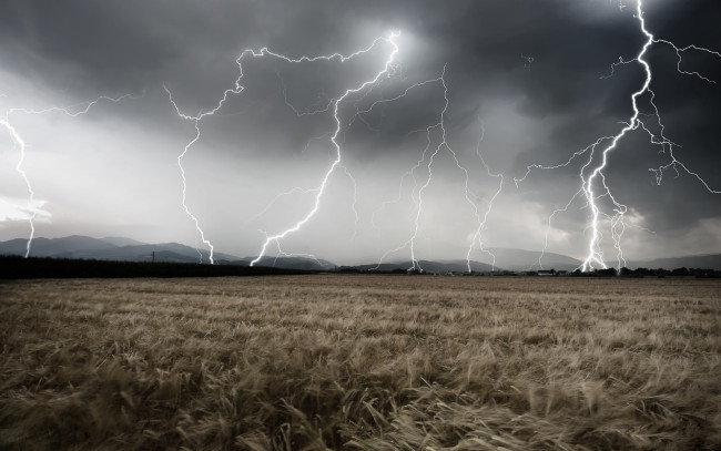 Обои картинки фото природа, молния,  гроза, торнадо, тайфун, облака, гроза, стихия, пшеница, поле