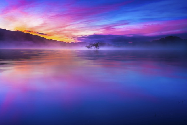 Обои картинки фото природа, восходы, закаты, вода, дерево, восход, солнца, небо, утро, озеро, Япония