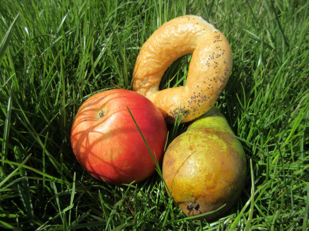 Обои картинки фото еда, разное, яблоко, груша, весна, 2018, бублик