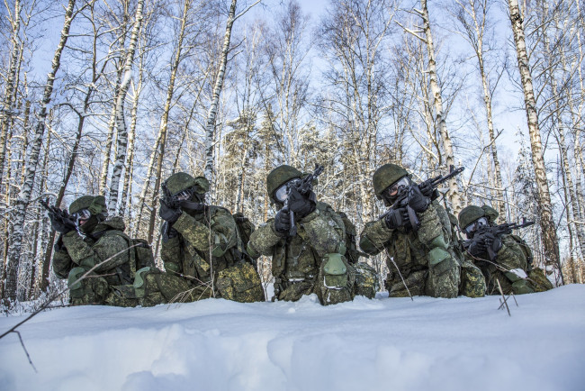 Обои картинки фото оружие, армия, спецназ, лес, снег, солдаты