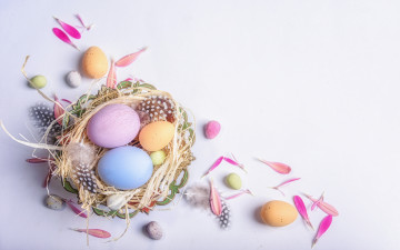 Картинка праздничные пасха праздник весна яйца перья