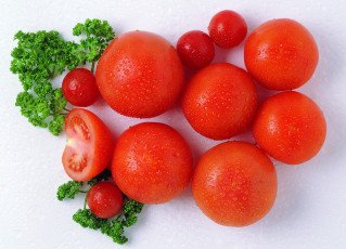 обоя еда, помидоры, красные, спелые, томаты, капли, петрушка