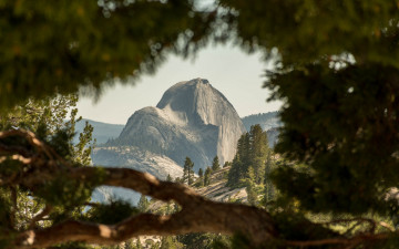 Картинка природа горы йосемитский национальный парк пейзаж сша деревья глубина резкости хаф доум калифорния