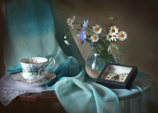 Картинка цветы луговые+ полевые +цветы бабочка цикорий ромашка чашка