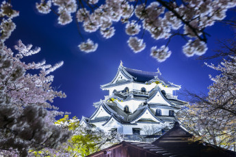 Картинка hikone+castle+-+hikone +japan города замки+Японии сакура весна Япония хиконэ замок japan hikone castle