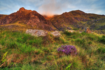 Картинка природа горы трава цветы snoudoniya англия пейзаж
