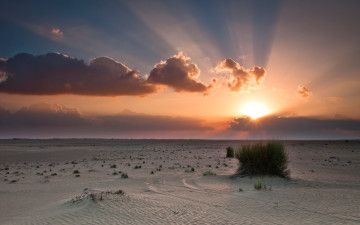 Картинка природа восходы закаты закат пустыня облака обои небо солнце куст