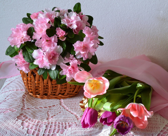 Обои картинки фото цветы, разные вместе, азалия, тюльпаны