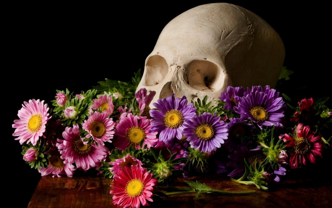 Обои картинки фото разное, кости,  рентген, цветы, череп