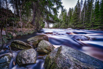 Картинка природа реки озера поток камни лес вода река
