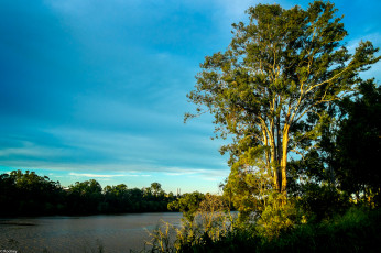 Картинка природа реки озера небо закат деревья