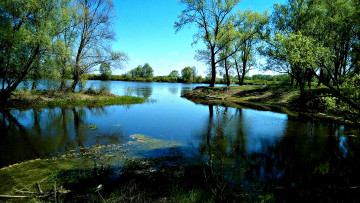Картинка озерцо природа реки озера небо деревья вода