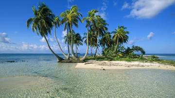 Картинка пальмы природа моря океаны остров море небо