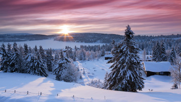 Картинка природа зима снег утро