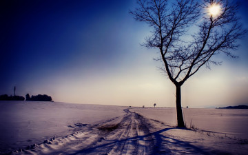 Картинка природа дороги зима снег дерево пейзаж