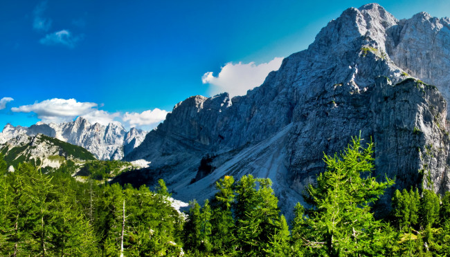 Обои картинки фото природа, горы, гора, скалы, деревья, краньска, словения