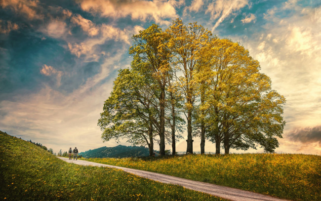 Обои картинки фото природа, дороги, обработка, облака, небо, деревья
