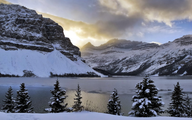 Обои картинки фото природа, реки, озера, bow, lake, mountains, snow, light, clouds, trees, alberta