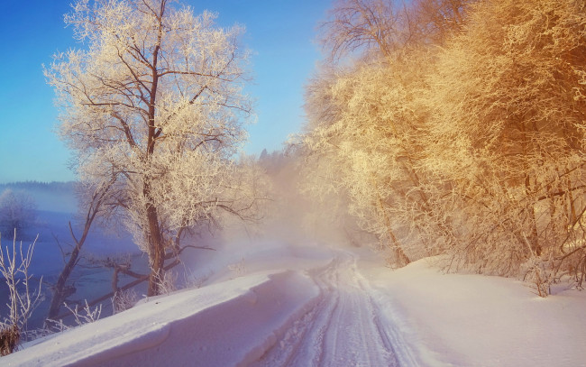 Обои картинки фото природа, зима, снег, пейзаж, иней