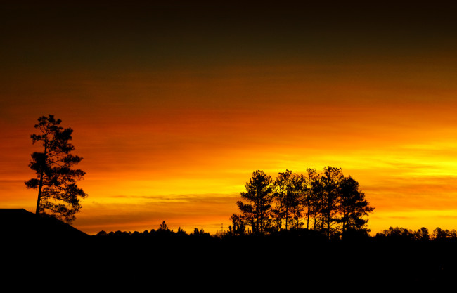 Обои картинки фото природа, восходы, закаты, небо, силуэт, деревья, облака, зарево