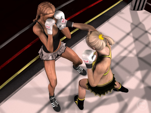 Обои картинки фото 3д графика, спорт , sport, бокс, взгляд, девушки, фон, ринг