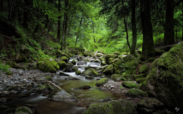 Картинка природа реки озера лес камни река