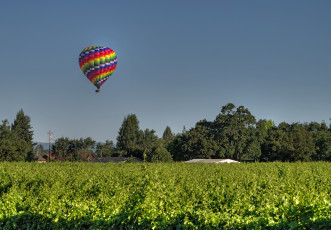 Картинка авиация воздушные шары поле деревья