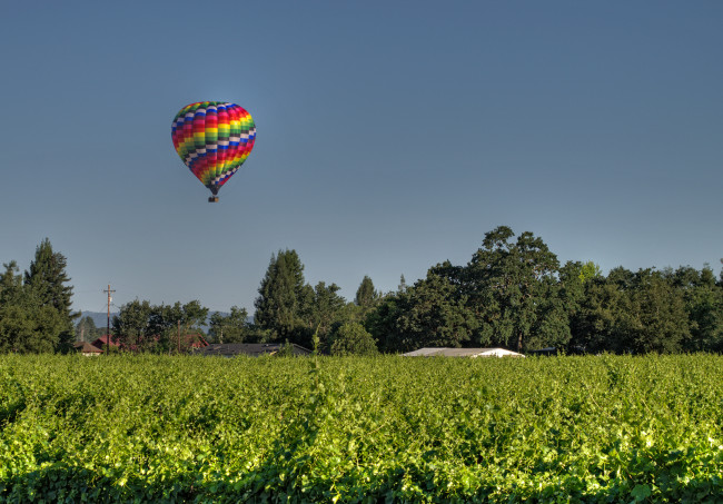 Обои картинки фото авиация, воздушные, шары, поле, деревья