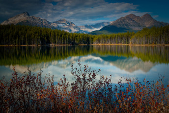 обоя природа, реки, озера, канада, озеро, горы, отражение, лес, кусты