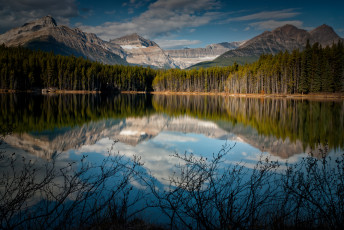 Картинка природа реки озера лес канада озеро горы отражение кусты