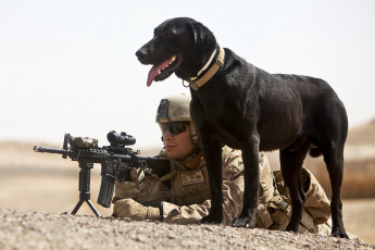 Картинка оружие армия спецназ солдат собака