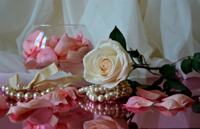 Обои картинки фото цветы, розы, лепестки, ожерелье, ткань, роза