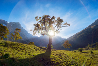 Картинка природа восходы закаты дерево солнце свет горы
