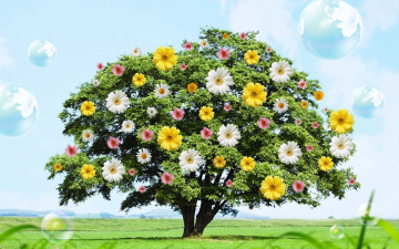 Картинка разное компьютерный+дизайн дерево цветы планеты