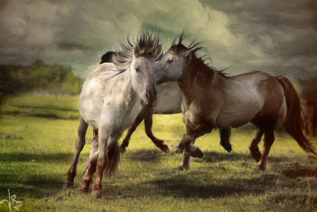Обои картинки фото разное, компьютерный дизайн, лошади, кони, пара, арт