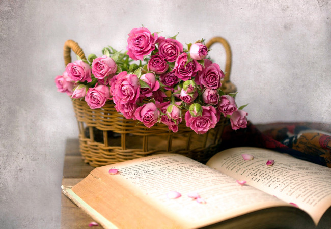 Обои картинки фото цветы, розы, корзинка, книга