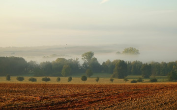 Картинка природа пейзажи туман поле осень